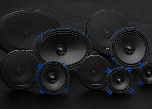 SUBWOOFER DE ALTO RENDIMIENTO